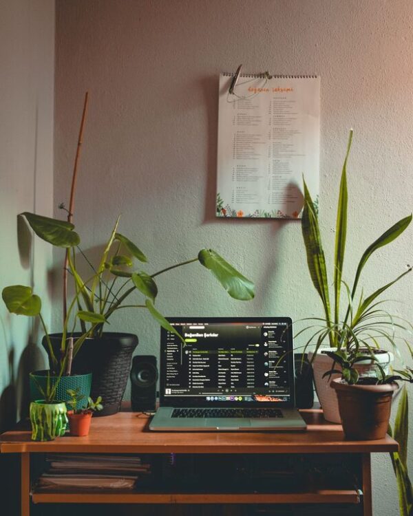 Tips for Creating a Relaxing and Productive Home Office Space