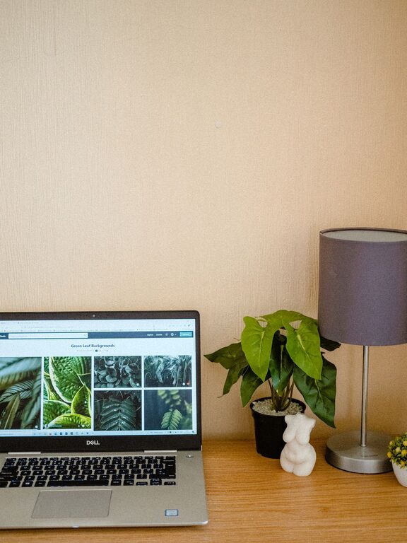 Tips for Creating a Cozy and Functional Home Office Space